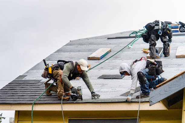 Professional Storm Damage Roof Repair technician working in Port Crane, NY